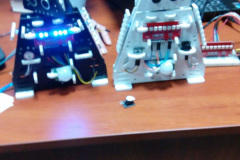 501415981